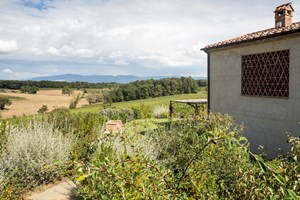 The view coming down from the pool