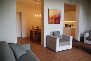 Lounge and open plan kitchen