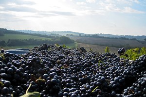 The Cabernet ready to roll - what a view!