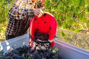 Hicham always time for a quick call.