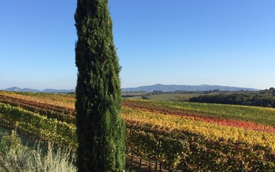 Autumn Colours at the Cantina 